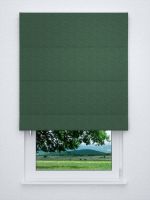 Raffrollo classic in grün