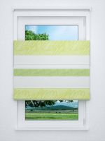 Raffrollo professional in grün