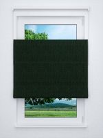 Raffrollo professional in grün