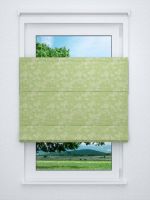 Raffrollo professional in grün