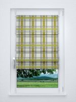 Raffrollo smart in grün