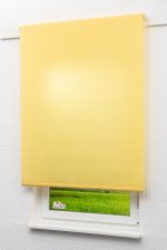 Rollo Standard Lysel Outlet - Basisrollo Tageslicht Pastellgelb
