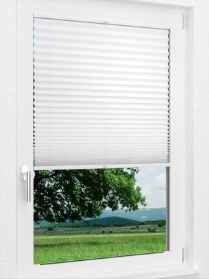 Preview LYSEL HOME Plissee 205A Krepp 1