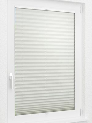Preview LYSEL HOME Plissee 206A Krepp 2