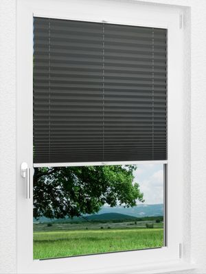 Preview LYSEL HOME Plissee 137A Krepp 1