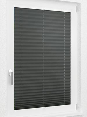 Preview LYSEL HOME Plissee 137A Krepp 2